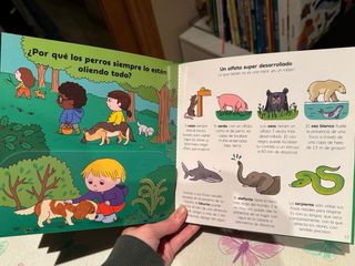 ¿Por qué los camaleones cambian de color?