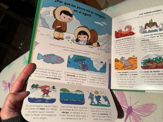 ¿Por qué los camaleones cambian de color?