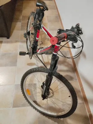 Bicicleta Aluminio Infantil Esperia