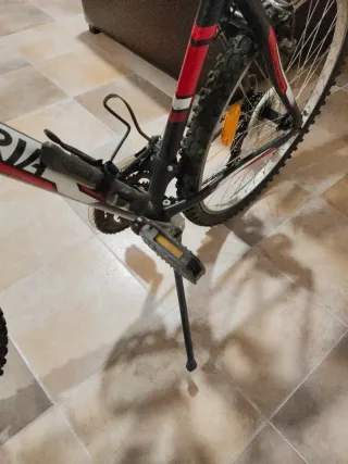 Bicicleta Aluminio Infantil Esperia