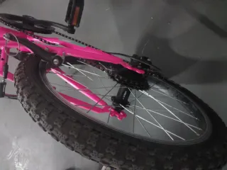 Bici Infantil JL Wenti 20