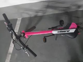 Bici Infantil JL Wenti 20