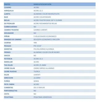 Bici Infantil JL Wenti 20