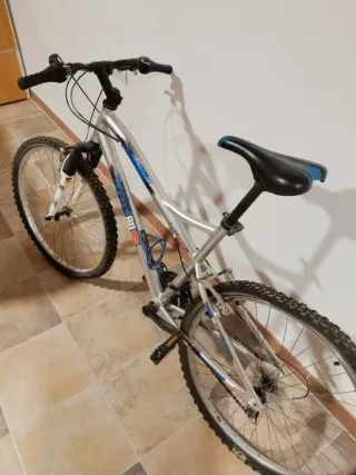 Bicicleta gris para niño