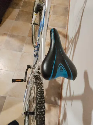 Bicicleta gris para niño