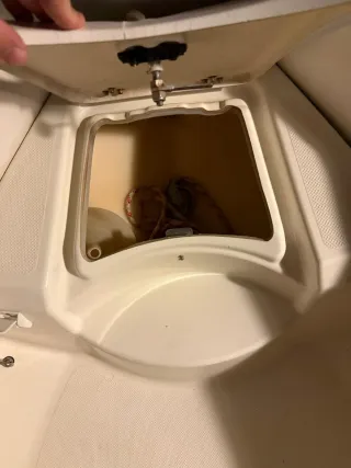 Barco Zodiac 310 Suzuki 20cv4T powertrim remolque