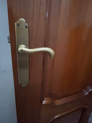 Puerta de madera interior