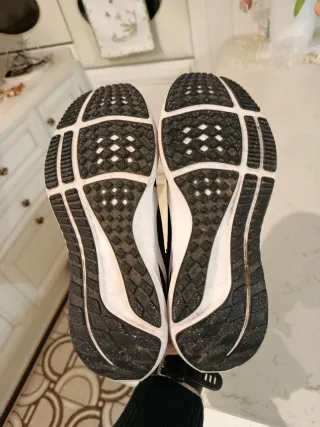 Nike zoom Pegasus 40