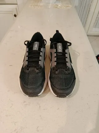 Nike zoom Pegasus 40