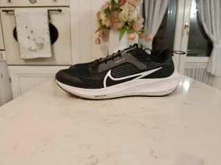 Nike zoom Pegasus 40