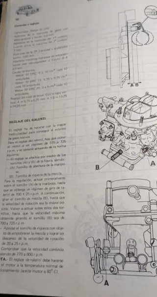 Manual Taller Renault 8 TS