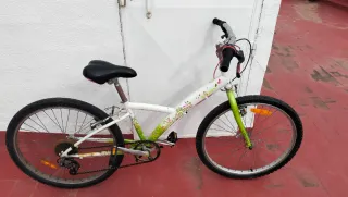 Bicicleta infantil verde y blanca