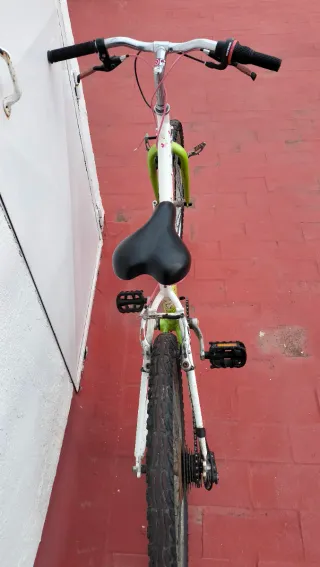 Bicicleta infantil verde y blanca