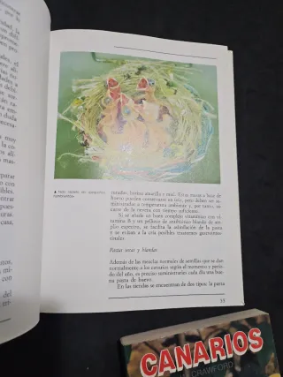 Set de dos libros de canarios