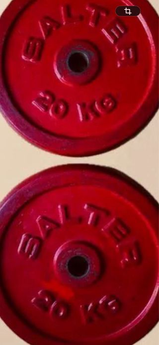 Pareja Discos SALTER 2x20 kg