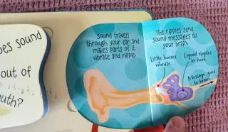 3 interesantes libros de solapas