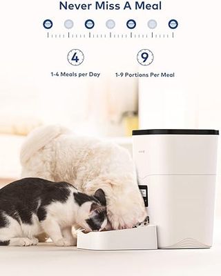 Comedero Automático AONBOY para Gatos