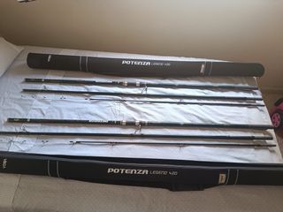 Cañas de pesca Potenza Legend 420 100-300g