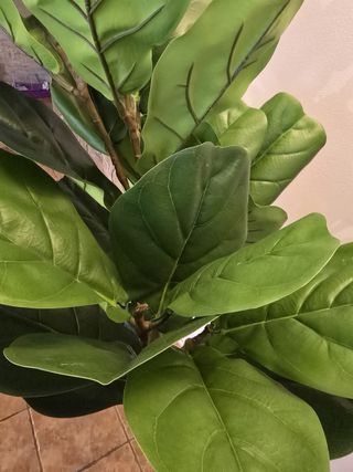 Planta Artificial Decorativa