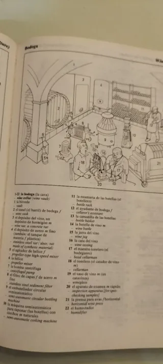 Diccionario de inglés