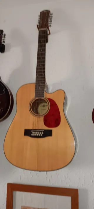 Guitarra 12 Cuerdas Casi Nueva