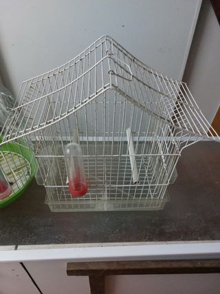 Jaula para pájaros