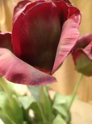 Planta artificial tulipanes burdeos