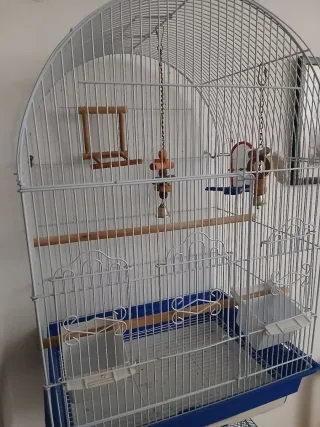 Jaula para agapornis