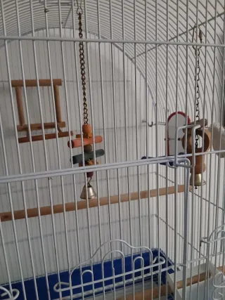 Jaula para agapornis