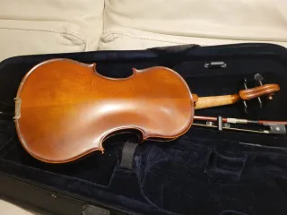 Viola 1/2