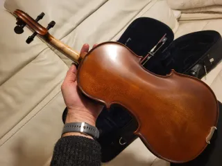 Viola 1/2