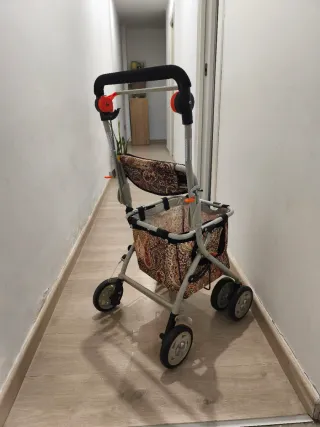 Carrito de compra con bolsa