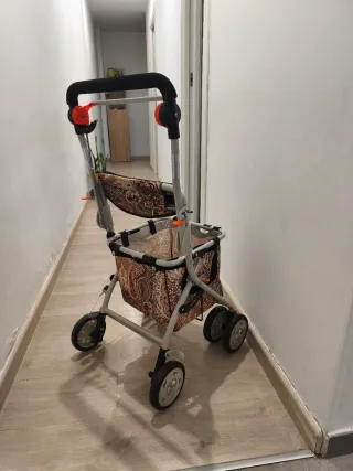 Carrito de compra con bolsa