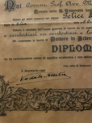 Diploma Laurea Anni '30 Carta Pergamena