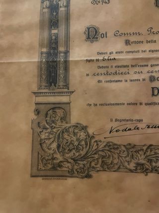 Diploma Laurea Anni '30 Carta Pergamena