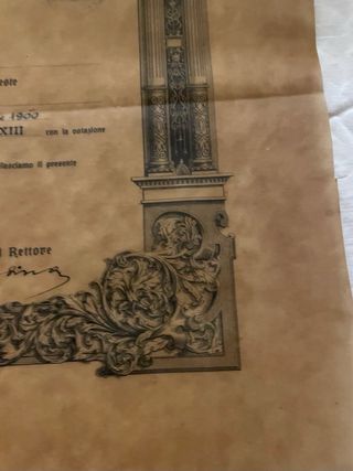 Diploma Laurea Anni '30 Carta Pergamena