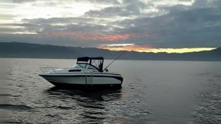 Lema Sabinal 190 + Motor Honda BF100 + Remolque