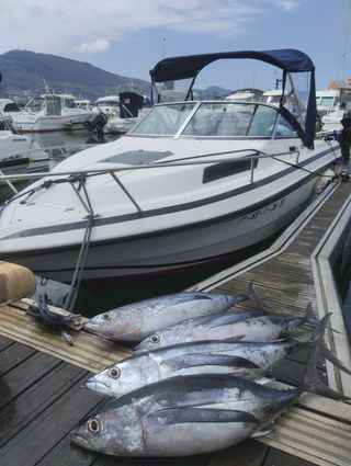 Lema Sabinal 190 + Motor Honda BF100 + Remolque