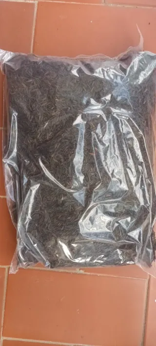 Casca de Arroz Carbonizada  300 gramas