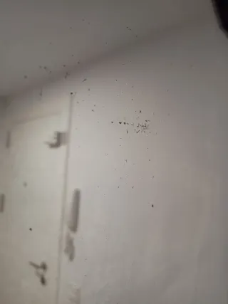 Espejo Mercurio Siglo XIX 183x100