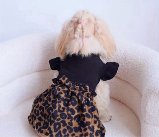 Cuccia rosa per cagnolina piccola taglia