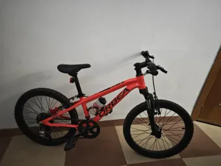 Bici Orbea MX 20 XC Naranja/Negro