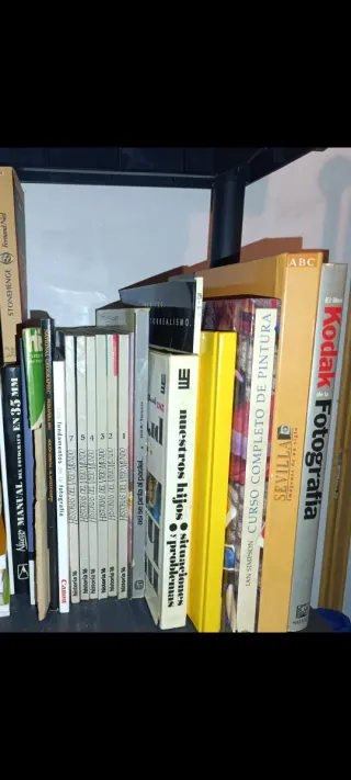Lote libros Fotografia, pintura, y arte..