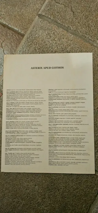 Libro fumetto Asterix con mini vocabolario (2pag.)