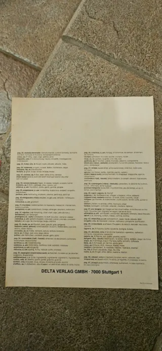 Libro fumetto Asterix con mini vocabolario (2pag.)