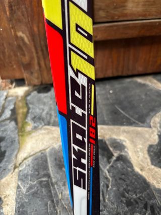 Esquís SALOMÓN SKATE 10 Nórdico