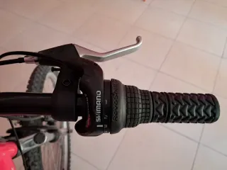 Bicicleta Orbea 20 pulgadas niña