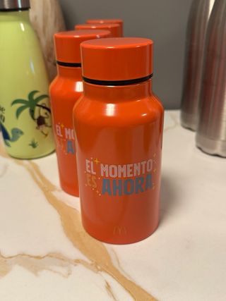 Lote 15 Botellas Reutilizables Variadas