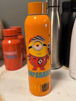 Lote 15 Botellas Reutilizables Variadas