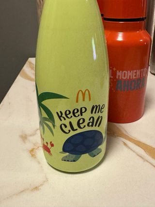 Lote 15 Botellas Reutilizables Variadas